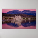 Search for carbonate posters Nobody