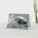 Search for seal cards Humour