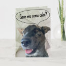 Search for brindle cards Cute