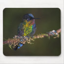 Search for bird horizontal standard mouse mats Photography