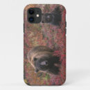 Search for alaska iphone cases Denali national park
