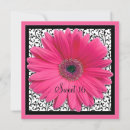 Search for gerbera daisy birthday invitations Floral