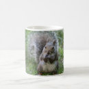 Search for gray squirrel mugs Squirrels