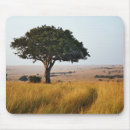 Search for acacia mouse mats Kenya