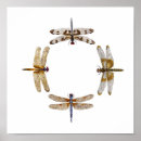 Search for dragonfly flying posters Insect