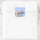 Search for beautiful horse stickers Winter