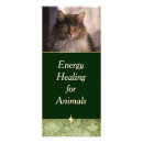Search for felines rack cards Animal