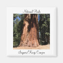 Search for giant square magnets National park