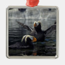 Search for tufts christmas tree decorations Animal