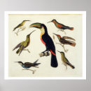 Search for includes posters Von