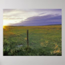 Search for barbed wire posters Sunset