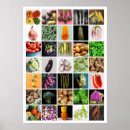 Search for vegetable posters Green