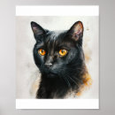 Search for pet portraits Cat portrait