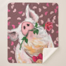 Search for funny pig blankets Piggy