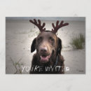 Search for chocolate lab invitations Reindeer