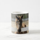 Search for mane mugs Hair