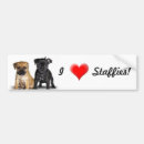 Search for staffy bumper stickers Pitbull