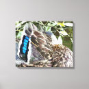 Search for duck canvas prints Animal