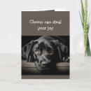 Search for chemo cards Uplifting