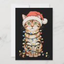 Search for bengal cat cards Funny