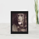 Search for white chocolate cards Puppy