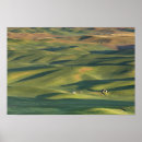 Search for palouse posters Green