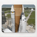 Search for spaceflight mouse mats Sts 125
