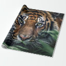 Search for bengal cat wrapping paper Animal