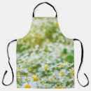Search for alternative aprons Background