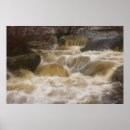 Search for brook art Nature