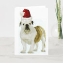 Search for english bulldog christmas cards Dogs
