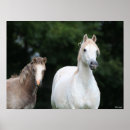 Search for welsh pony art Animal