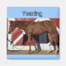 Search for gelding magnets Thoroughbred