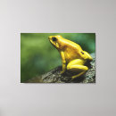 Search for wild one canvas prints Animals in the wild