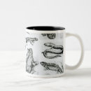 Search for herpetology mugs Salamander