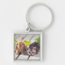 Search for front view key rings Focus