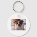 Search for bullie round key rings Bulldog
