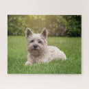 Search for cairn puzzles Cute