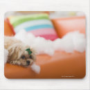 Search for destruction mouse mats Horizontal