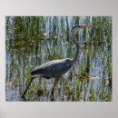 Search for marsh posters Florida