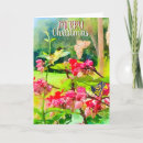 Search for hummingbird christmas cards Nature
