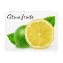 Search for lemon lime magnets Fruit