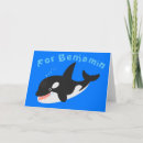 Search for killer whales cards Funny