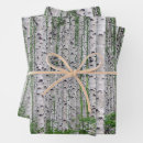 Search for birch wrapping paper Nature