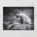 Search for change background postcards Animal