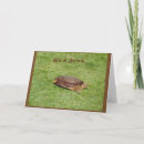 Search for slow down cards Turtle
