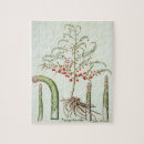 Search for fruit puzzles Plants