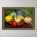 Search for tomatoes art Organic