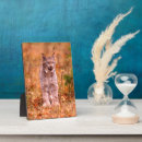 Search for hunt plaques Danita delimont