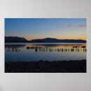 Search for layer posters Orange